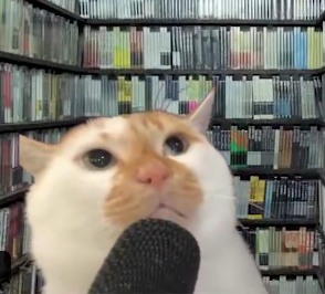 PODCAT in front of a wall of records